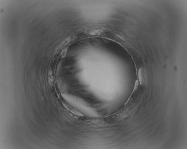 X0000076351443200610161747