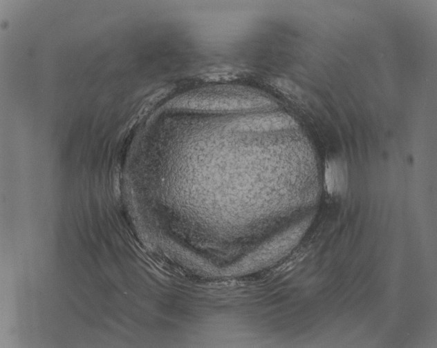 X0000076351444200610161747