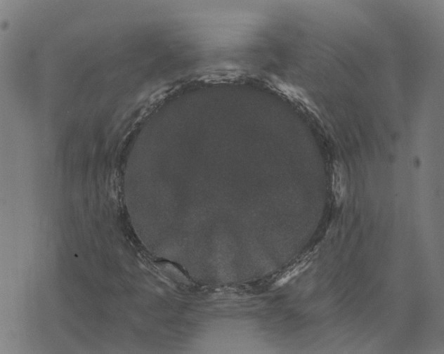 X0000076351445200610161747