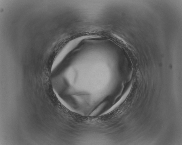 X0000076351447200610161747