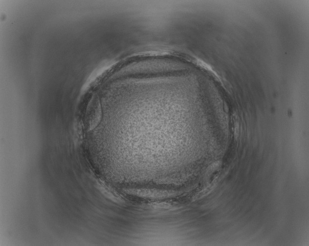 X0000076351448200610161747