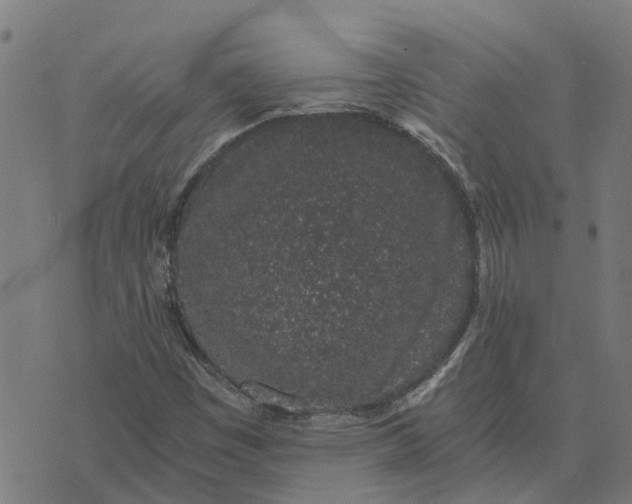 X0000076351449200610161747