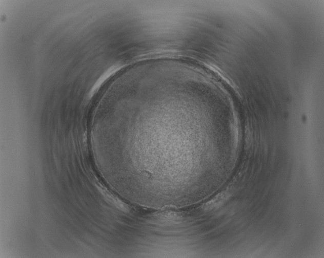 X0000076351450200610161747