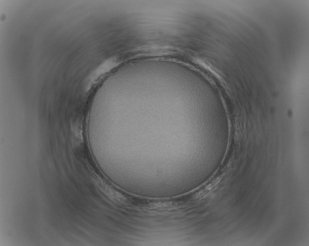 X0000076351451200610161747