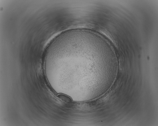 X0000076351452200610161747