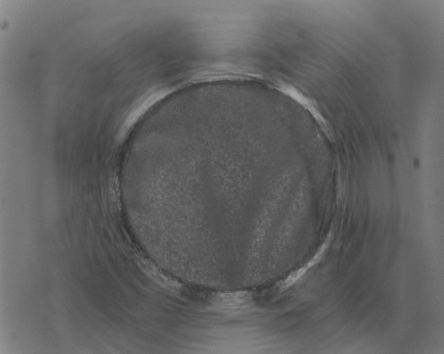 X0000076351453200610161747