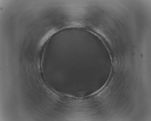 X0000076351455200610161747