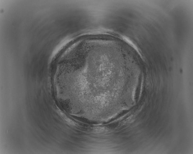 X0000076351456200610161747