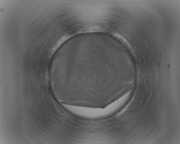 X0000076351457200610161747