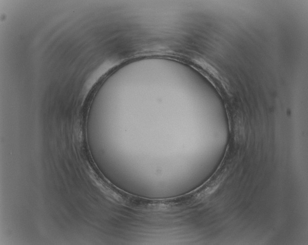 X0000076351458200610161747