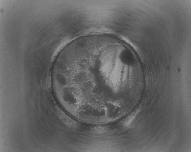 X0000076351459200610161747