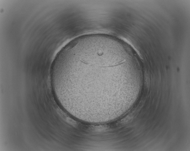 X0000076351460200610161747