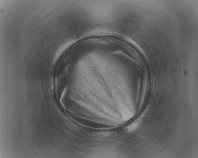 X0000076351461200610161747