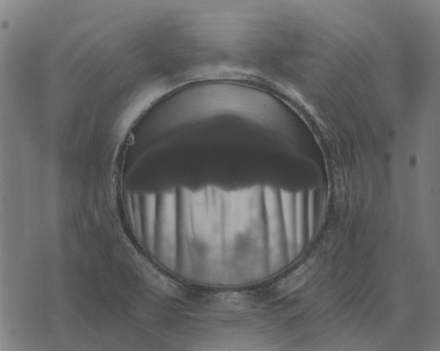 X0000076351463200610161747