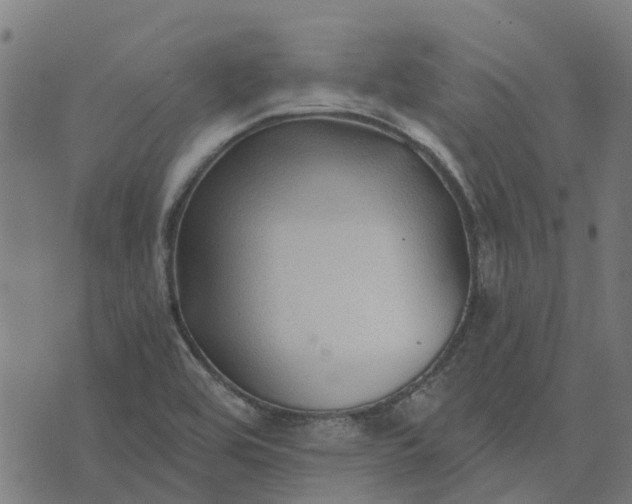 X0000076351464200610161746