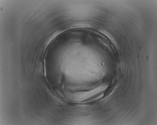 X0000076351465200610161746