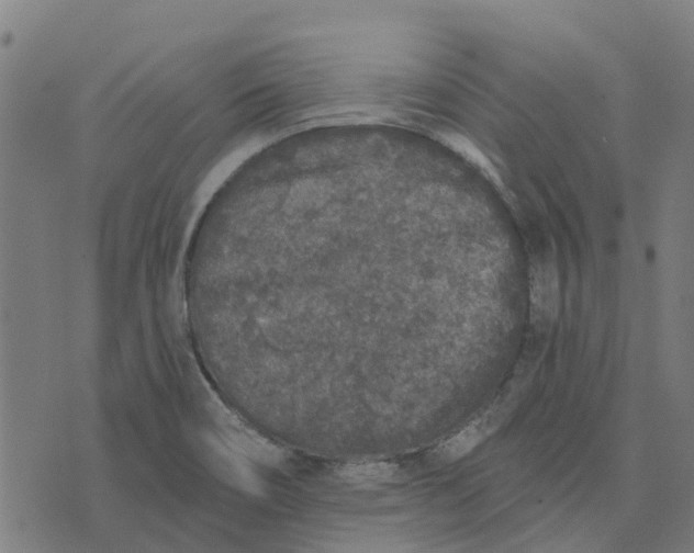 X0000076351466200610161746