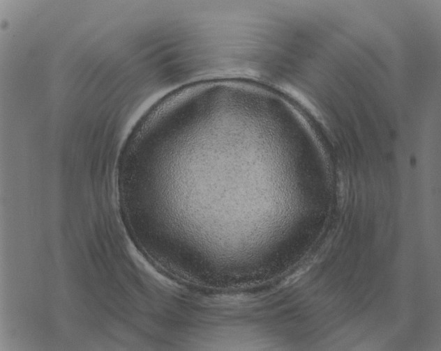 X0000076351468200610161746