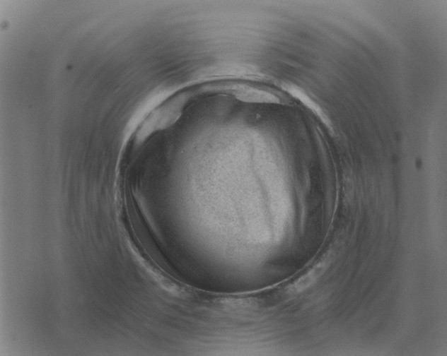 X0000076351469200610161746