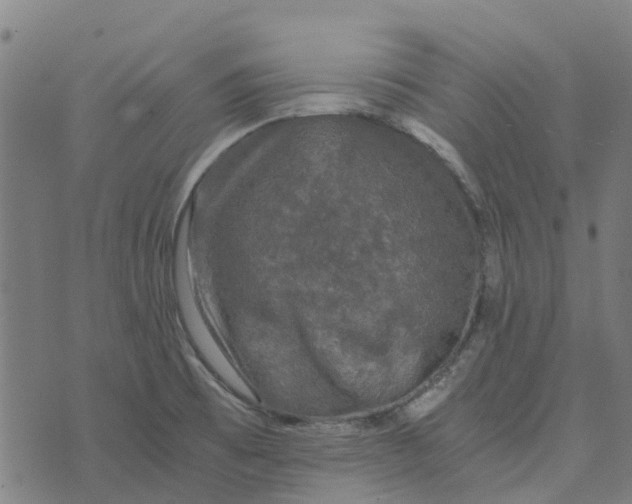 X0000076351473200610161746