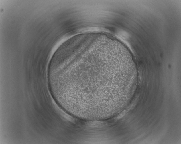 X0000076351475200610161746