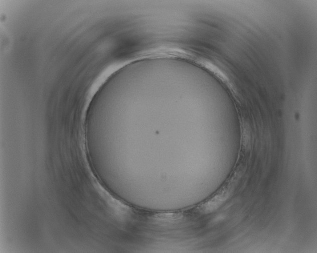 X0000076351478200610161746