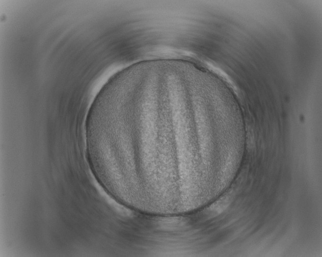 X0000076351479200610161746