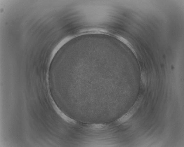 X0000076351482200610161746