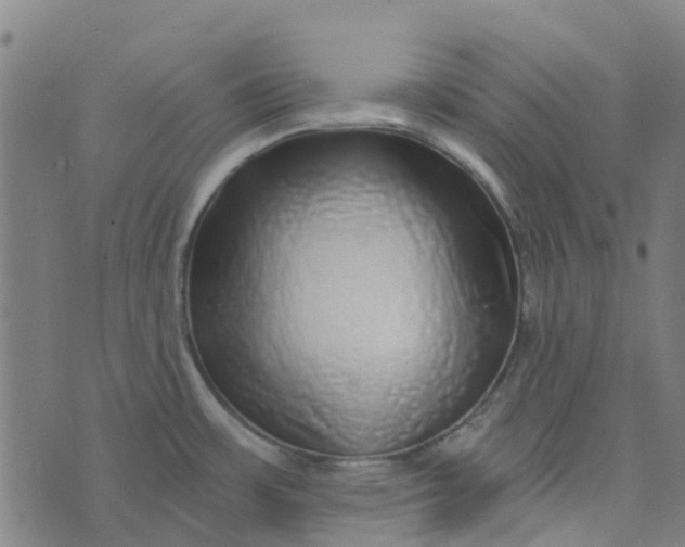 X0000076351483200610161746