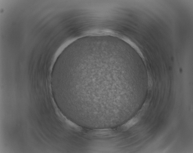 X0000076351486200610161746