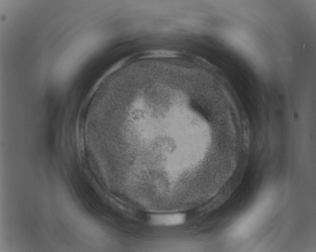 X0000076351487200610161746