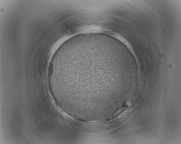 X0000076351488200610161746