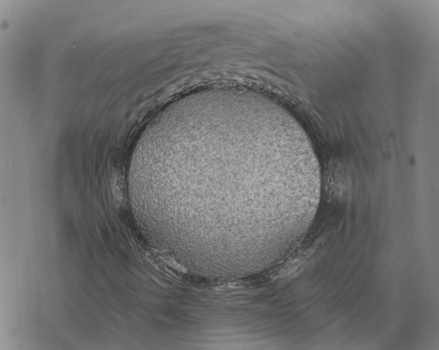 X0000076351490200610161745