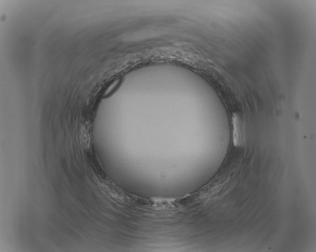 X0000076351491200610161745