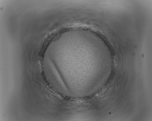 X0000076351493200610161745