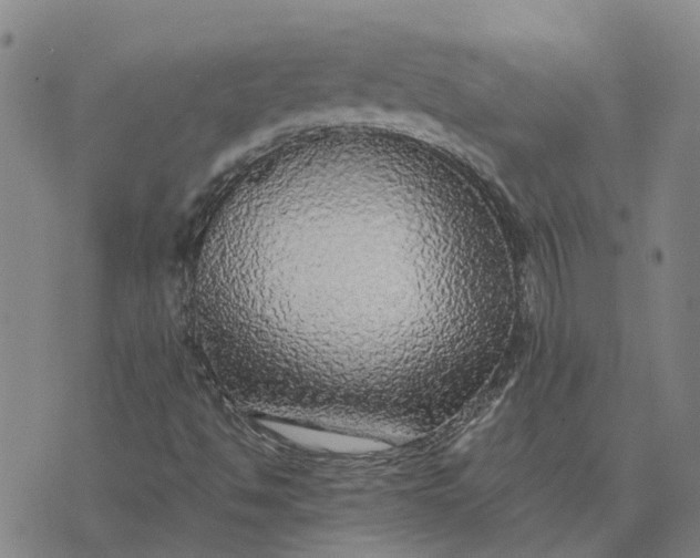 X0000076351494200610161745