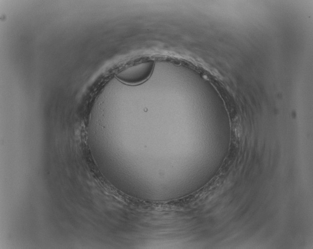 X0000076351495200610161745