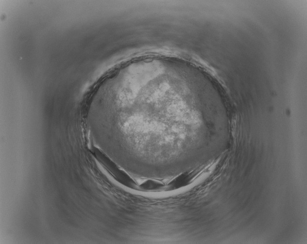 X0000076351496200610161745