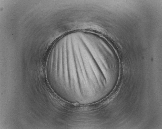 X0000076351497200610161745