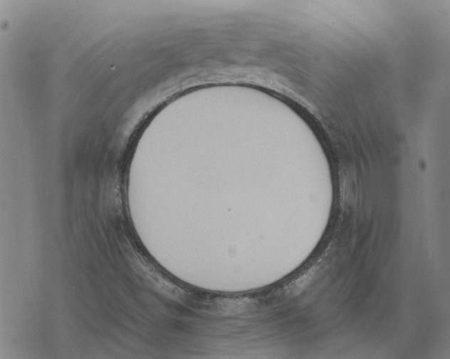 X0000076351498200610161745