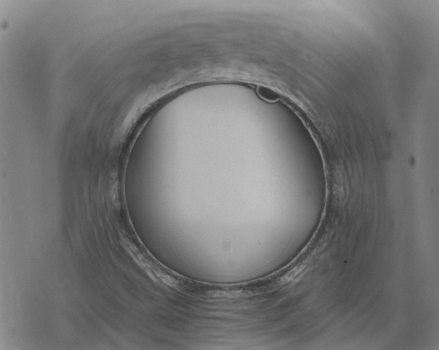 X0000076351499200610161745