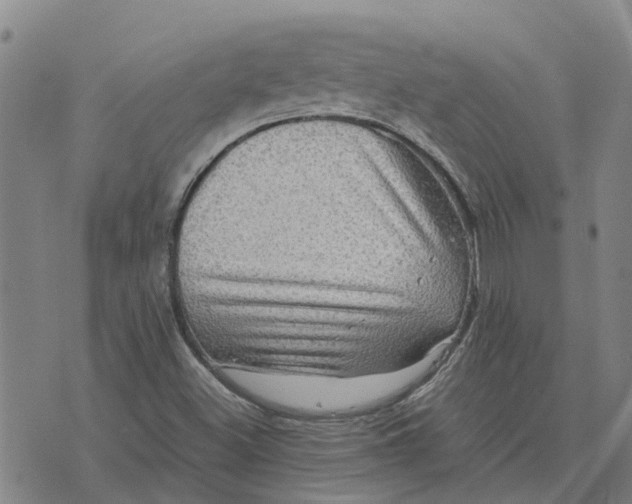 X0000076351500200610161746