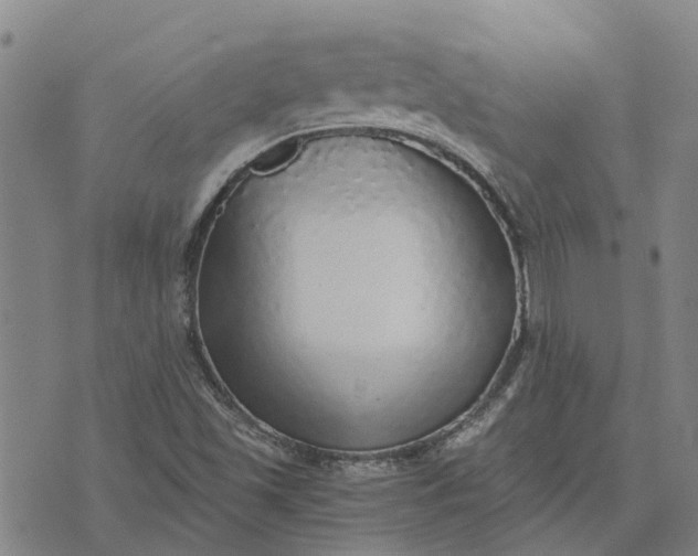 X0000076351501200610161746