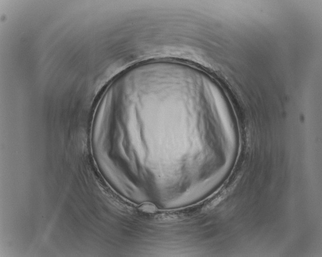 X0000076351505200610161746