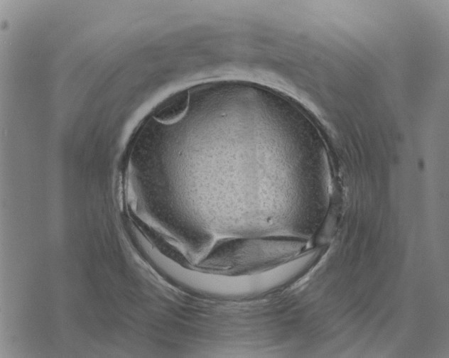 X0000076351510200610161746