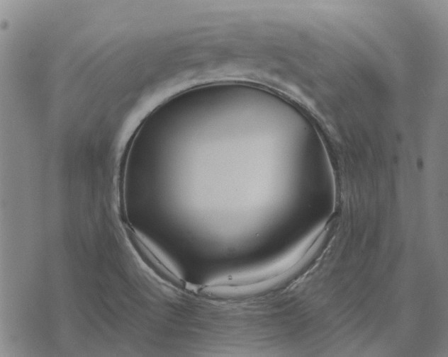 X0000076351512200610161746