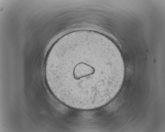 X0000076351514200610161746