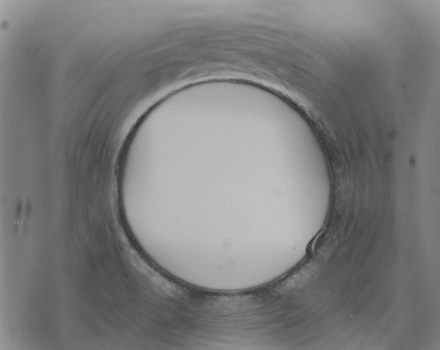 X0000076351518200610161746