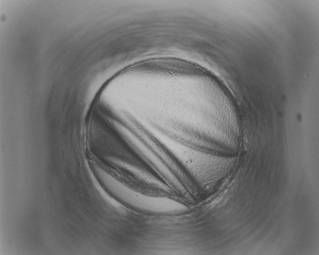 X0000076351519200610161746