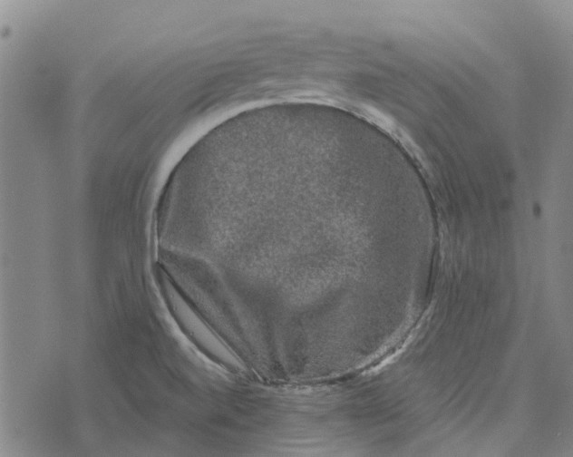 X0000076351520200610161746